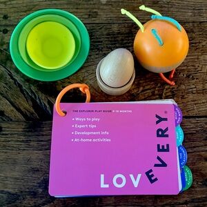 Lovevery 9-10M Montessori Toys and Guide. In great like new condition
